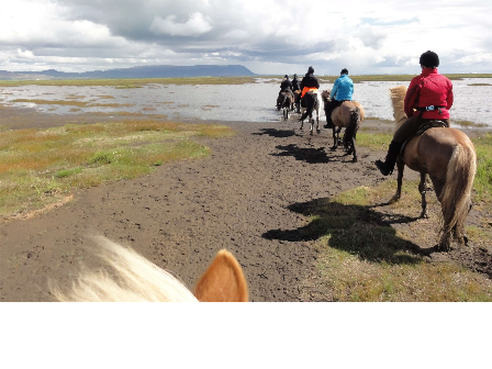 Iceland -Ride, Hot Springs and Whales!